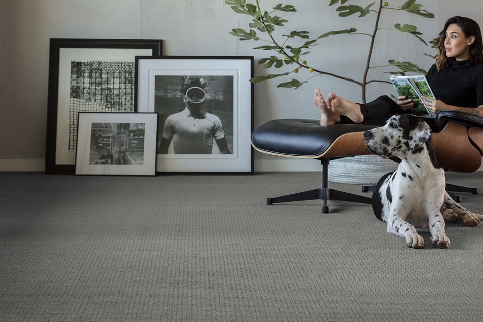 woman reading on chair with a dog sitting next to her on a gray carpet from Excel Carpet LTD in the Commack, NY area